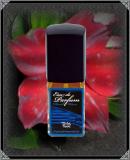 Teufelskche Gothic Patchouli Parfum